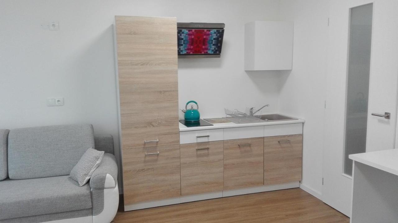 Apartment Brno Centrum With Private Parking Dış mekan fotoğraf